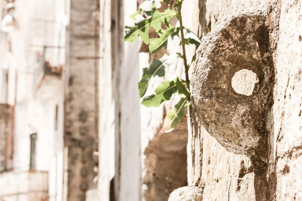 A Casa Di Rosa Villa Matera Habitación foto